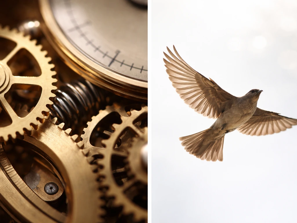 Split image concept: close-up mechanical gears and spring dial alongside a bird in flight with wings extended.
