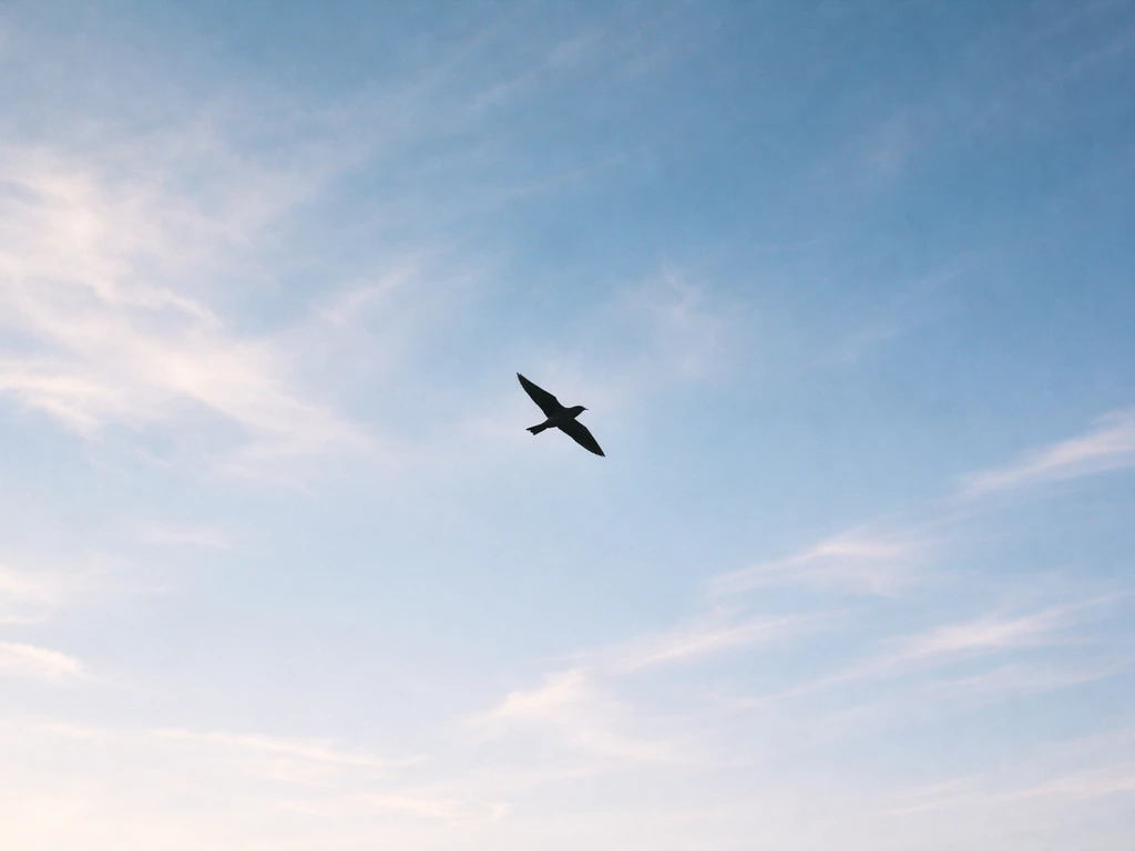 A lone migratory bird glides through open sky, suggesting travel and freedom