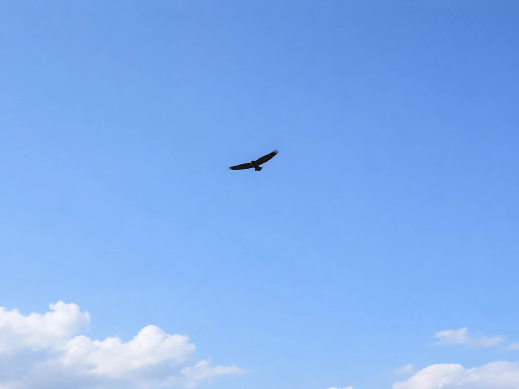 A high-flying eagle or hawk gliding against open blue sky with soft clouds